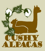 Cushy Alpacas Logo